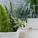 Bed and breakfast La Peonia Ragusa