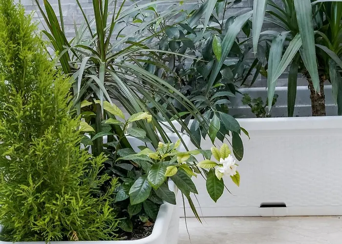 לינה וארוחת בוקר La Peonia רגוזה